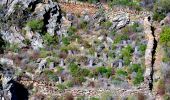 Tocht Stappen La Garde-Freinet - SityTrail - Fort Freinet-la Garde-Freinet-02-06-23 - Photo 19