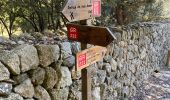 Trail Walking Escorca - GR221 # Lluc - Pollença - Photo 19
