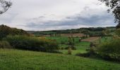 Trail Walking Voeren - Fouron-le-Comte (Balade 5) - Photo 4