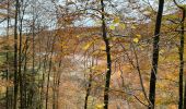 Randonnée  Bonlieu - Cascades du hérisson  - Photo 7