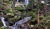 Trail Walking Gérardmer - gerardmer saut de la bourrique cascade merel - Photo 5