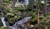 Percorso Marcia Gérardmer - gerardmer saut de la bourrique cascade merel - Photo 5