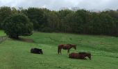 Trail Walking Grez-Doiceau - #221104 - Florival > Pécrot, GRP127 - Photo 18