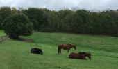 Trail Walking Grez-Doiceau - #221104 - Florival > Pécrot, GRP127 - Photo 2