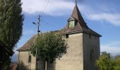 Excursión A pie Vuarrens - Le Tour du Gros-de-Vaud - Photo 4