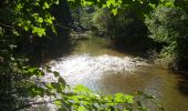 Excursión A pie okres Spišská Nová Ves - Náučný chodník Prielom Hornádu - Photo 2