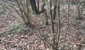 Trail Walking Luçon - champignon - Photo 2