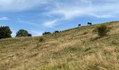 Trail Walking Arith - Col de la couchette en boucle avec passage au refuge - Photo 9