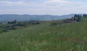 Tocht Stappen San Quirico d'Orcia - San Quirico /  Gallina - Photo 3