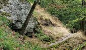 Tour Wandern Stauseegemeinde - Autour du lac D'Esch sur Sûre  - Photo 8