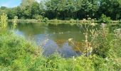 Trail Walking Banteux - canal de saint Quentin / Banteux - Vendhuile ( tunnel de Riqueval ). - Photo 6