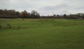 Tour Wandern Saint-Hubert - Awenne (Saint-Hubert)  - Photo 9