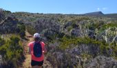 Trail Walking Saint-Denis - La Roche Écrite  - Photo 10