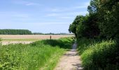 Tocht Stappen Hannuit - La balade des chevées (5km)  - Photo 7