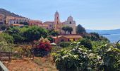 Trail Walking Cargèse - Visite découverte de Cargèse - Photo 8