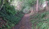 Trail Walking Perche en Nocé - Préaux-du-Perche Sud - Photo 11