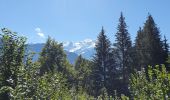 Trail Walking Servoz - lac vert, pormenaz, col  d'anterne - Photo 18
