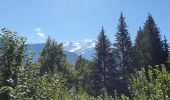 Tour Wandern Servoz - lac vert, pormenaz, col  d'anterne - Photo 18