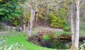 Tour Zu Fuß Bad Liebenstein - Pfeifenweg - Photo 7