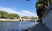 Excursión Bicicleta híbrida Lyon - Parc de la Tête d'Or  Parc de Gerland - Photo 3