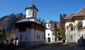 Percorso A piedi Călimănești - gara CFR Mănăstirea Turnu - Cabana Cozia - sat Pripoare (C.N.I.M.T.) - Photo 4