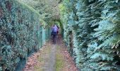 Trail Walking Wavre - #240209 - Bierges, autour du Bois Wilmet** (version courte horlogique) - Photo 13