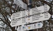 Trail On foot Sasbach - Erlebnis-Rundweg Obersasbach - Photo 6
