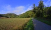 Tocht Mountainbike Durbuy - VTT autour des villages de Durbuy. - Photo 2