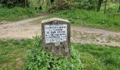 Randonnée Marche Milon-la-Chapelle - Yvelines_Forêt de la Madeleine et Abbaye de Port-Royal-des-Champs - Photo 6