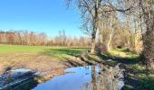 Tour Wandern Hannut - La Balade des Chevées - Photo 10