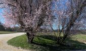 Trail Walking La Hulpe - Château de laHulpe  - Photo 10