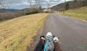 Randonnée Marche Le Tholy - Sentier de la Roche Au Blaireau depuis le gîte  - Photo 16