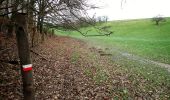 Tocht Stappen Itter - Ittre, Bois des Frères, Champ d'Hurbise - Photo 16