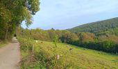 Trail Walking Theux - franchimont-maché . chinru - retour - Photo 4