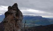 Trail Walking Proveysieux - L'Oeuillon de Proveyzieux et La Grotte de la Barre Mangin - Photo 6