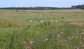 Tocht Te voet Unknown - Saint Cuthbert's Way (Kirk Yetholm to Lindisfarne) - Photo 5