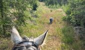 Tocht Paardrijden Habay - Forêt de Rulles - Photo 4