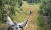 Percorso Equitazione Habay - Forêt de Rulles - Photo 4