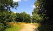 Trail Walking Saint-Crépin-aux-Bois - en forêt de Laigue_3_07_2019_La Malmère_Les Croisettes_Monts du Rond Buisson et des Châtillons - Photo 5