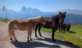 Tour Wandern St. Ulrich in Gröden - Raschötz Alm - Photo 7