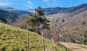 Trail Walking Soultzmatt - Rando Marcheurs ..20/03/2025.. - Photo 9