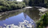 Trail Walking Lokeren - Anders Reizen 2021 Eksaarde - Moervaart wandeling - Photo 3