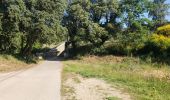 Trail Walking Sainte-Anastasie-sur-Issole - Les Ribas-la Clape - Photo 2