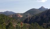 Trail Walking Saint-Raphaël - Le Drapeau - Photo 4