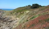 Tocht Stappen Cancale - Cancale Port Mer - 15.3km 290m 5h05 - 2017 06 19 - Photo 14