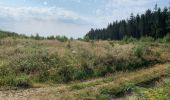 Trail Walking La Roche-en-Ardenne - Autour de Samrée  - Photo 1