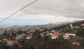 Excursión A pie Funchal (Santa Maria Maior) - Levada do Bom Sucesso - Photo 2