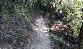 Trail Walking Saint-Péray - Château de Crussol - Photo 8