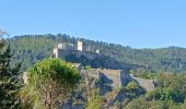 Tocht Stappen Sisteron - SISTERON  Mézien ,  St Jacques de Compostel n - Photo 8