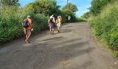 Tocht Stappen Le Vauclin - Boucle Macabou via Morne Flambeau - Photo 20